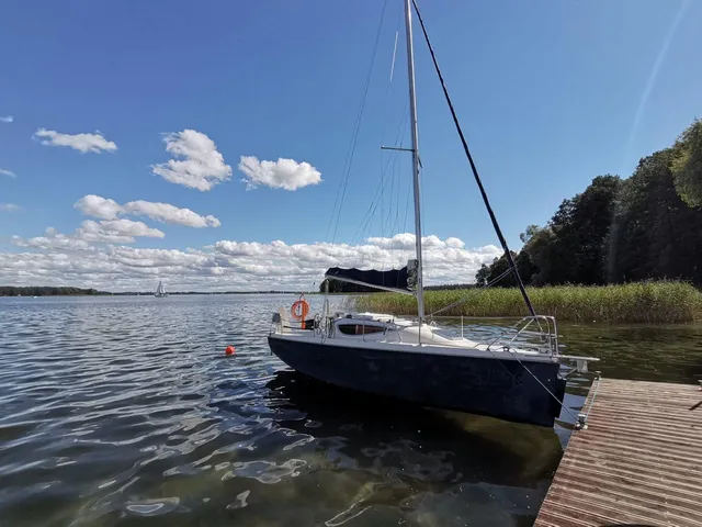 Maxus 24