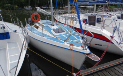 Sasanka 620