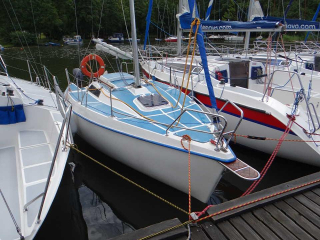Sasanka 620